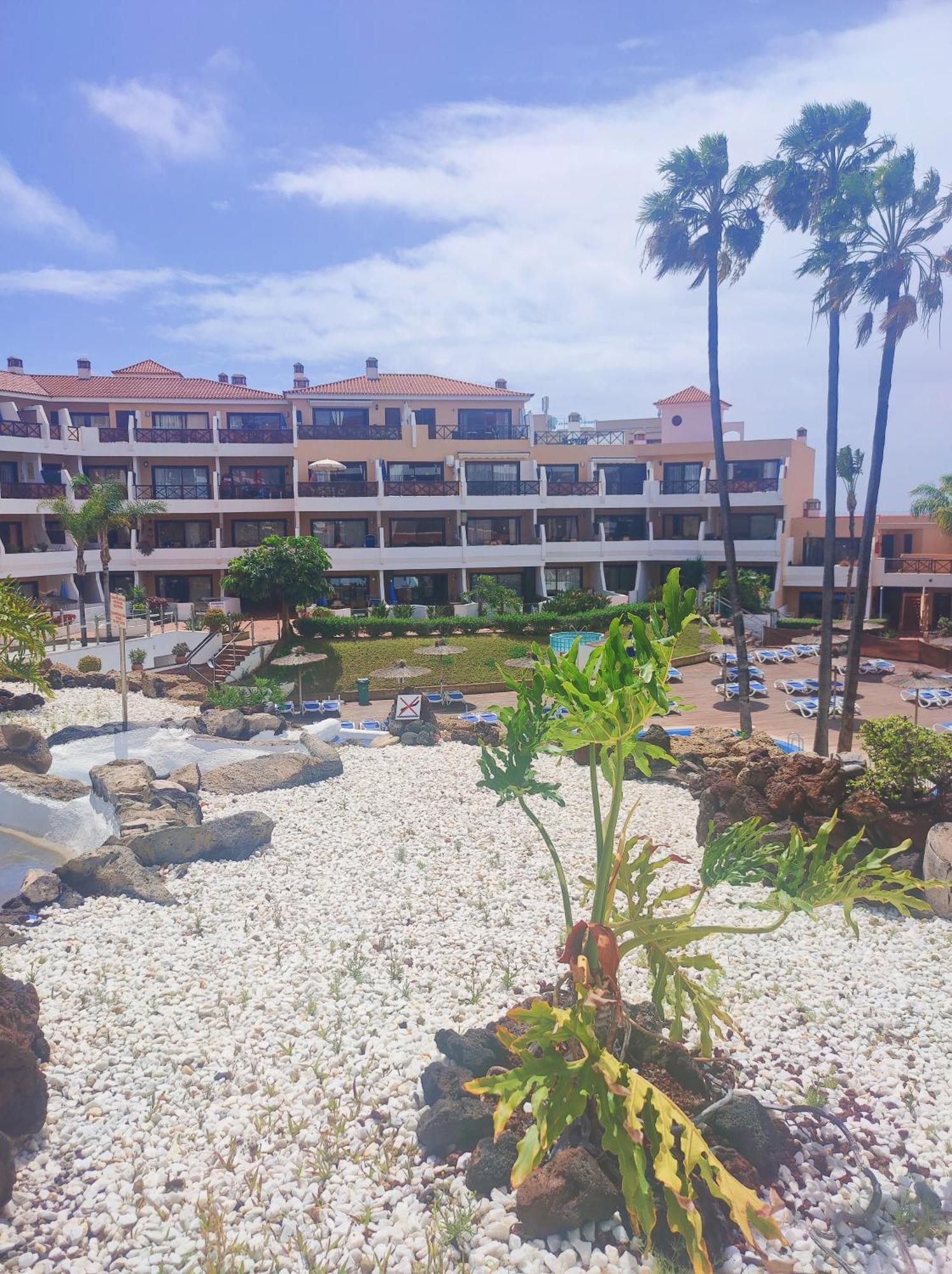 Lovely Apartment Top Views, Heated Pool, Great Location San Miguel de Abona Esterno foto